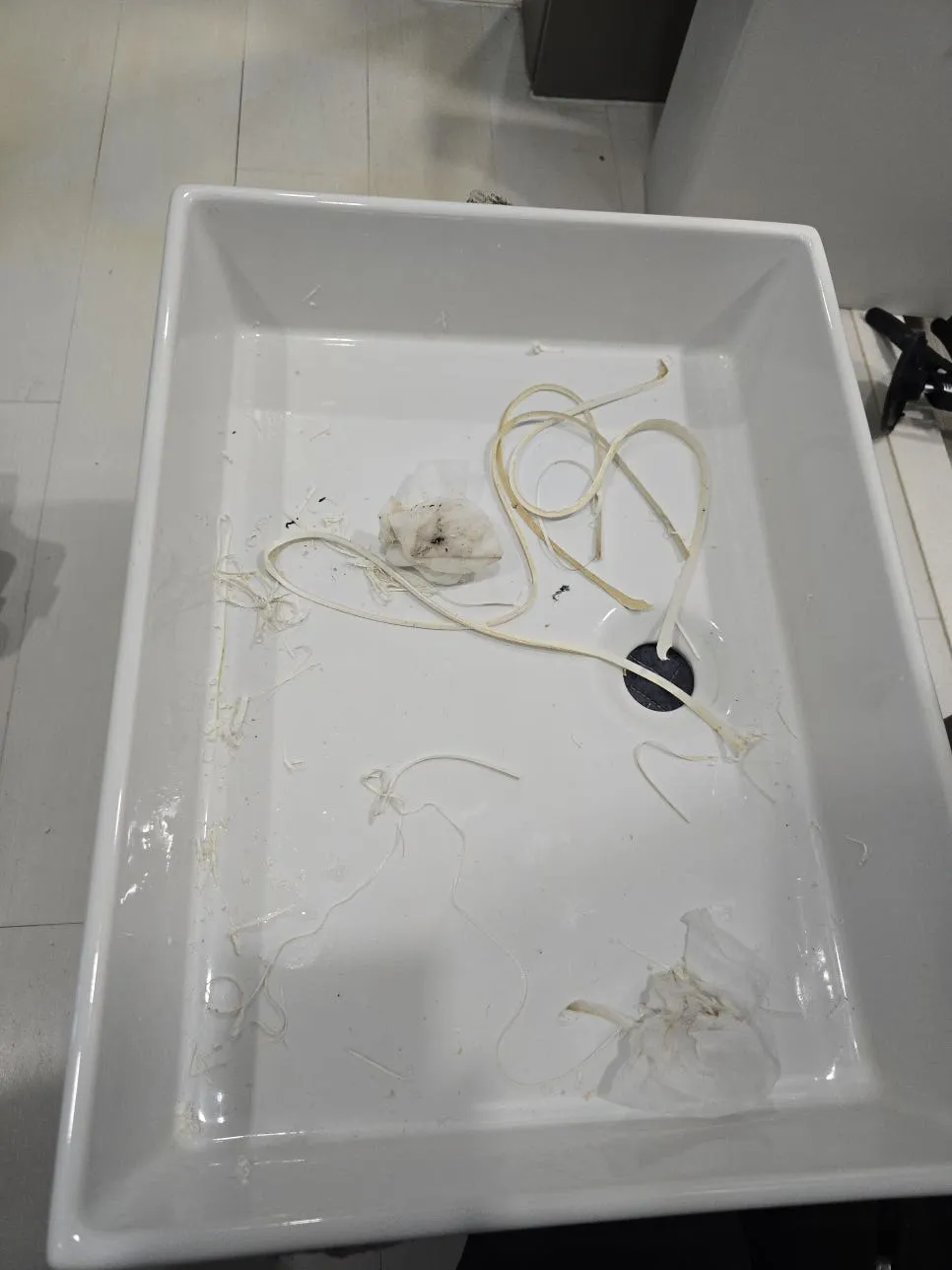송파 욕실세면대벌어짐 새언더볼탄탄교체 작업 과정