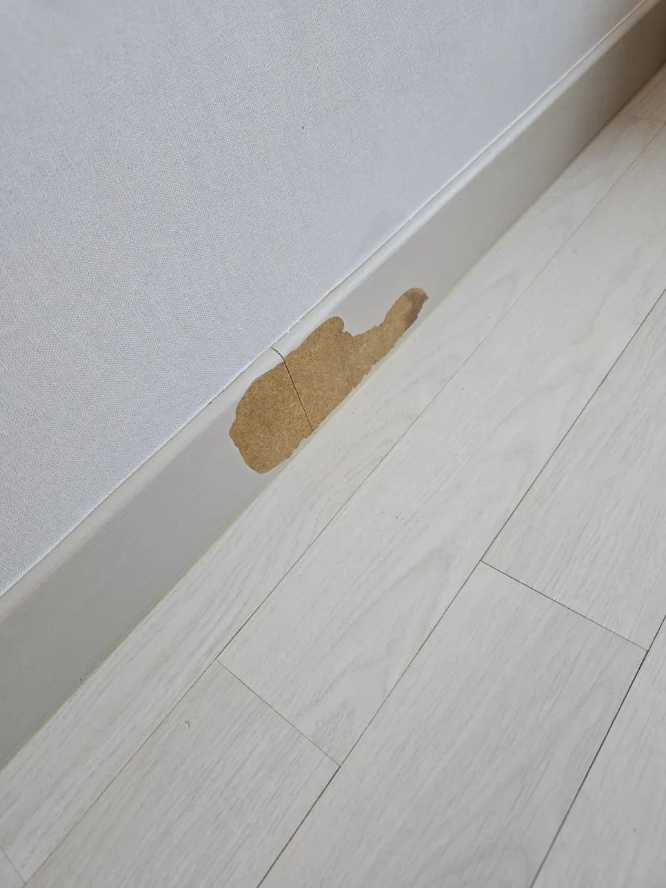 광진 반려견이 물어뜯은 거실걸레받이파 작업 과정