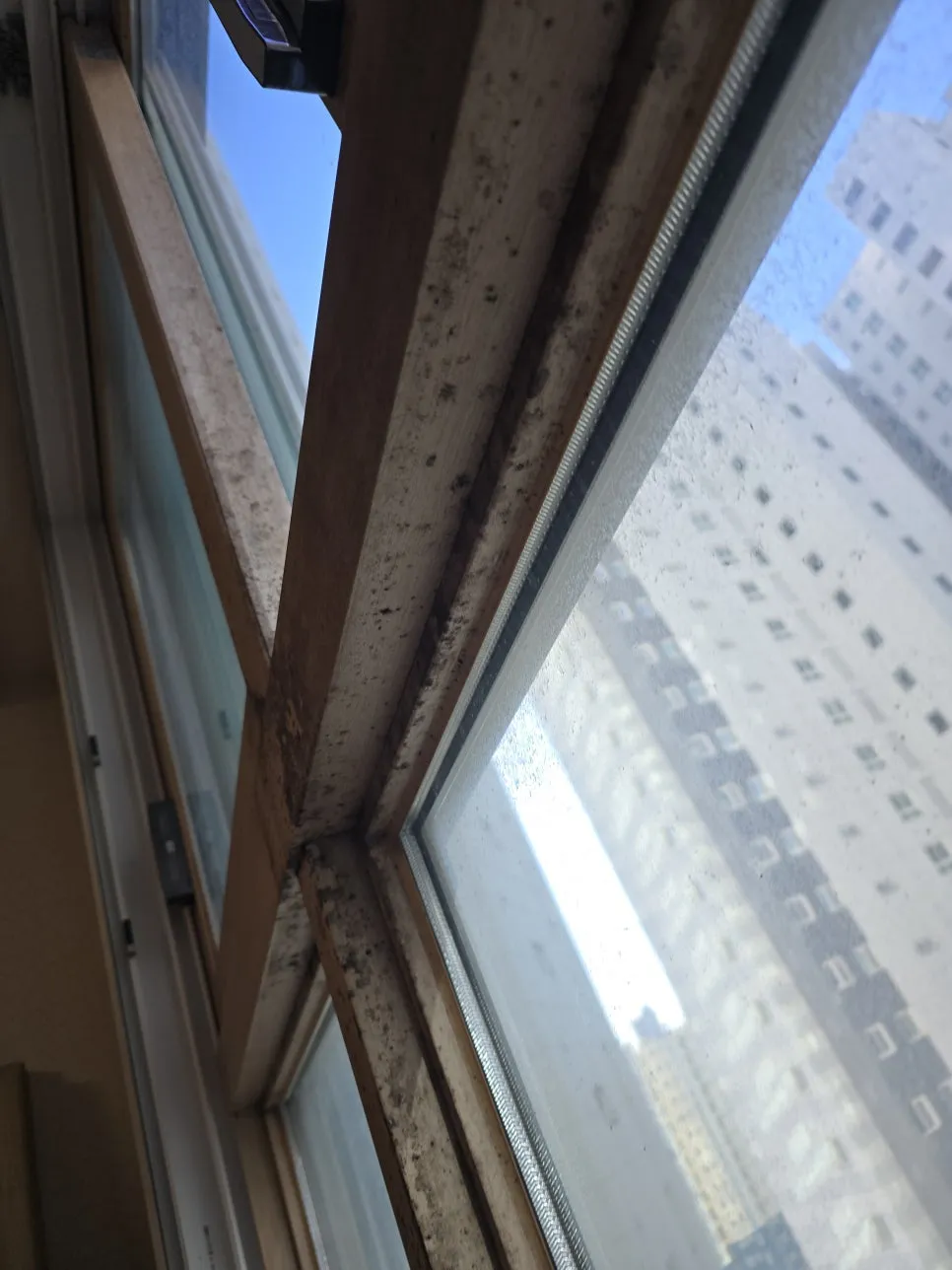 곰팡이핀 샷시청소부터 창문 실리콘까지 작업 과정