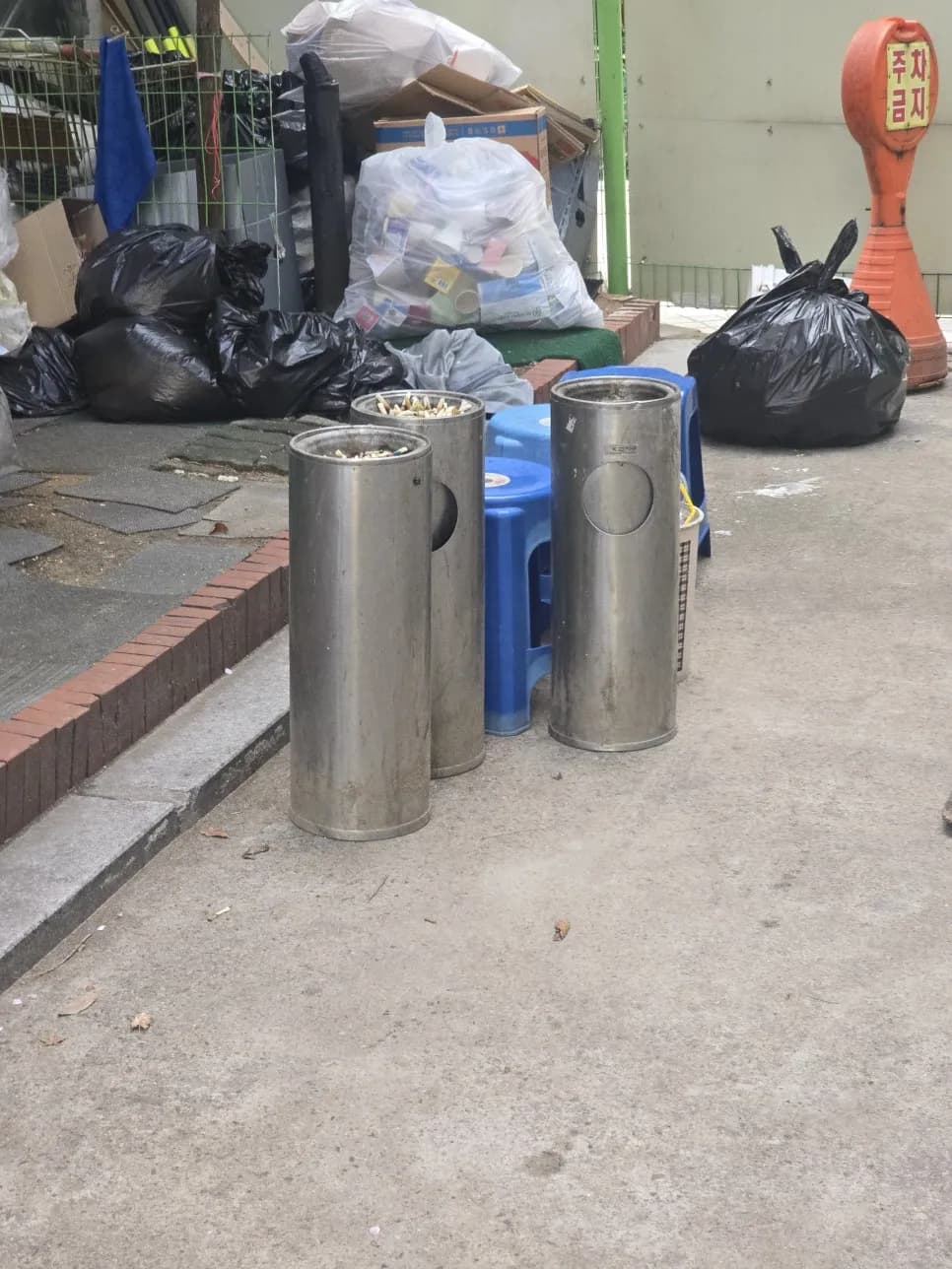크고높은긴나무 작업 과정
