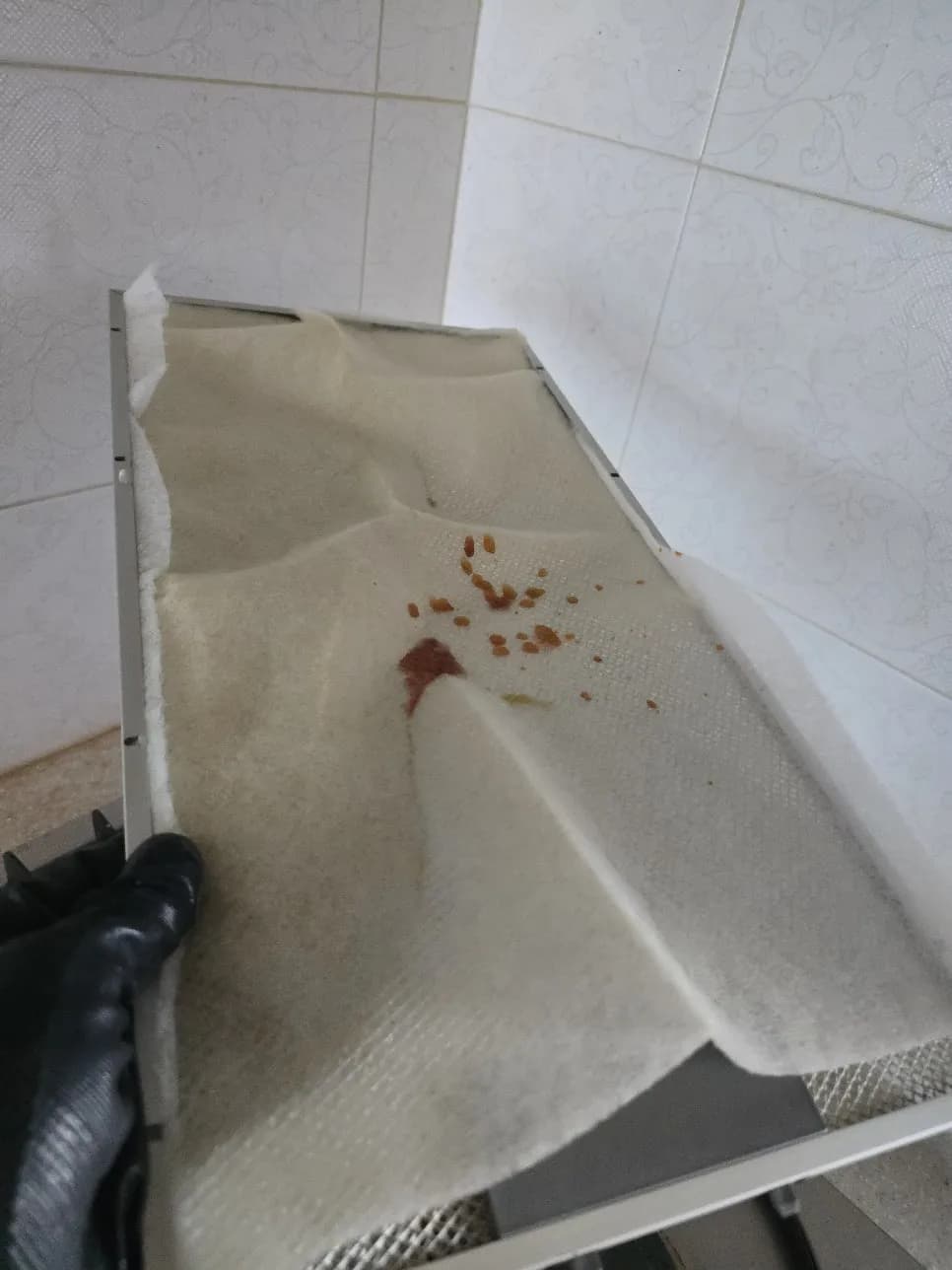 길음뉴타운 하츠 슬림라인 렌지후드 교 작업 과정
