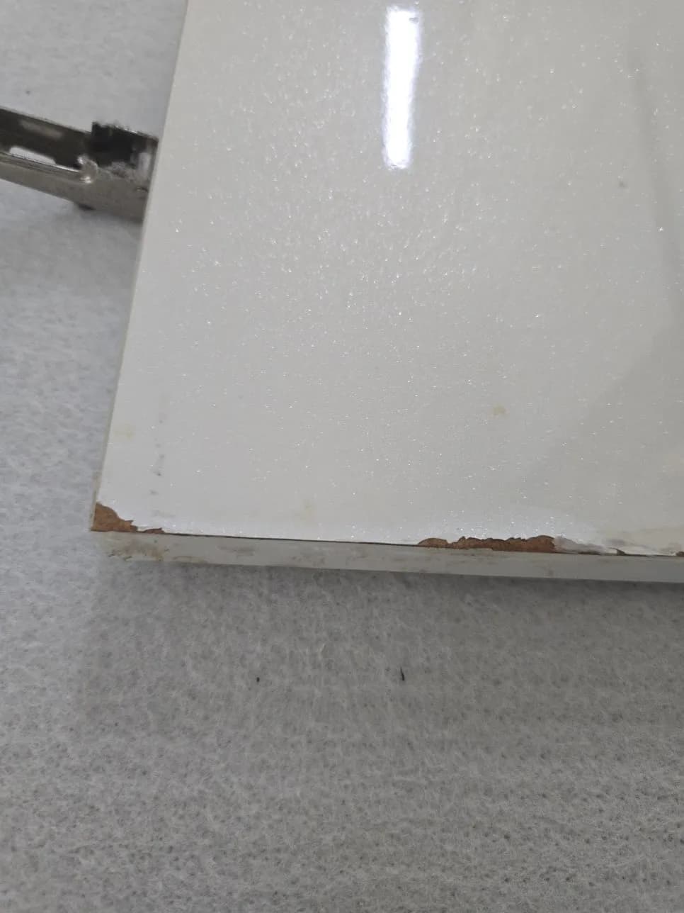 반려견물어뜯은하부장 작업 과정