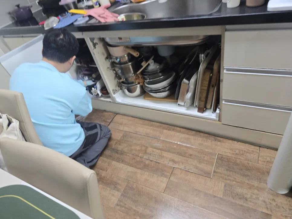 반려견물어뜯은하부장 작업 과정