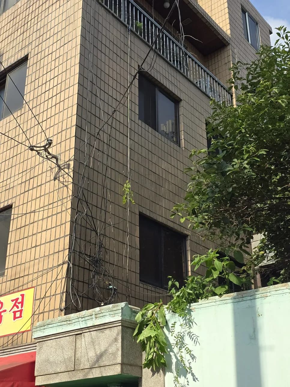 나무전지흙퍼내기 — 시공 후